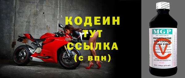 стаф Бородино
