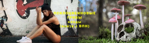 стаф Бородино