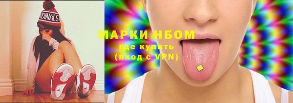 стаф Бородино