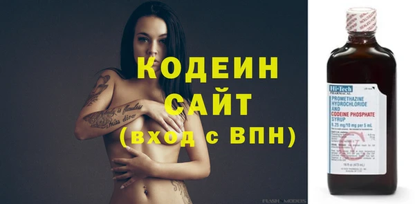 стаф Бородино