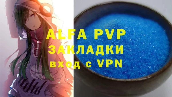 стаф Бородино