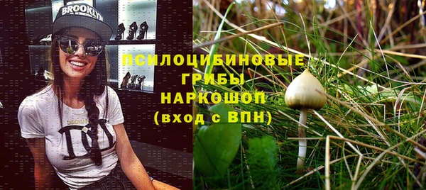 стаф Бородино