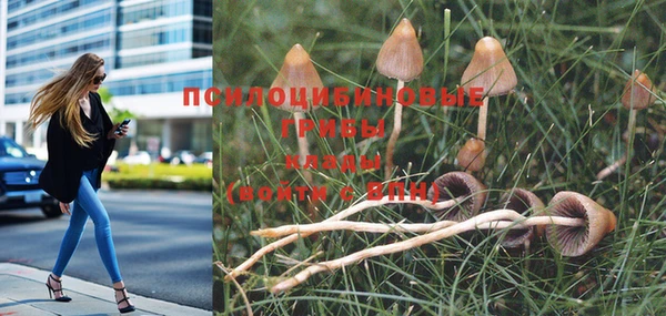 первитин Бугульма
